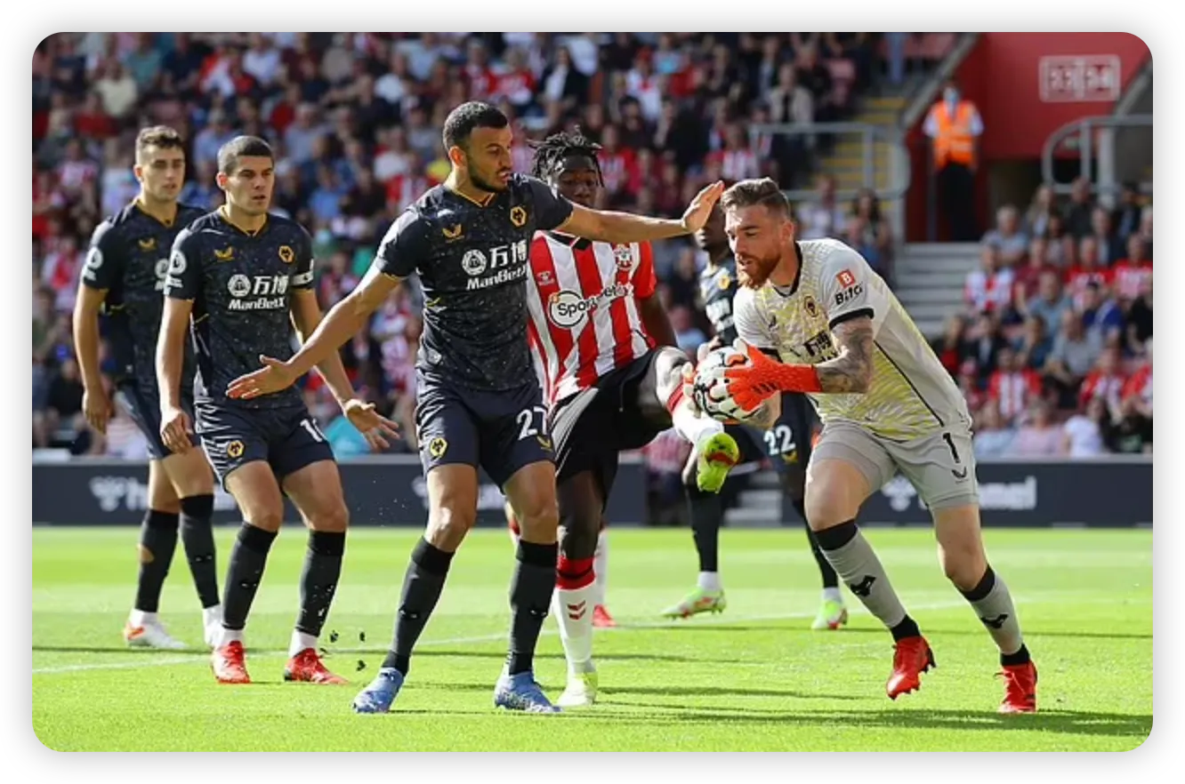 Cautious Optimism from Wolves Camp